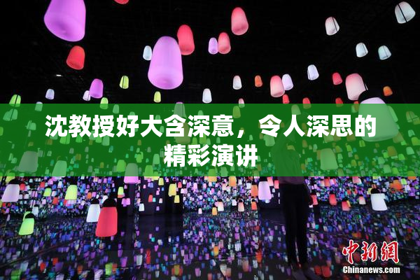 沈教授好大含深意，令人深思的精彩演讲