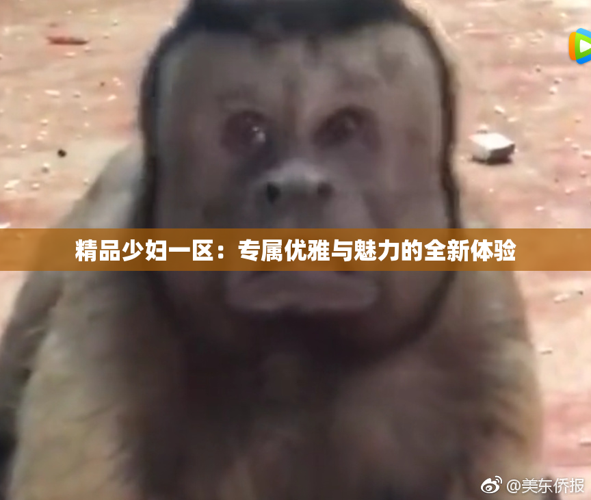 精品少妇一区：专属优雅与魅力的全新体验