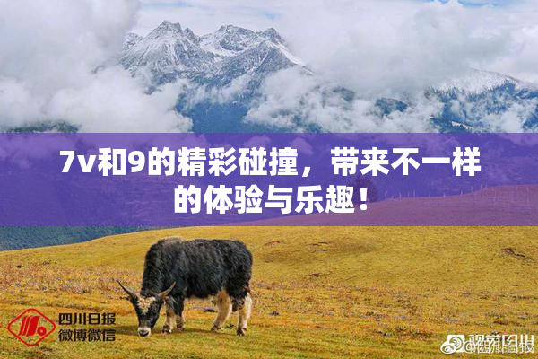 7v和9的精彩碰撞，带来不一样的体验与乐趣！