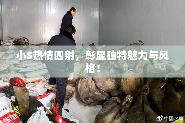 小S热情四射，彰显独特魅力与风格！