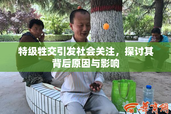 特级牲交引发社会关注，探讨其背后原因与影响