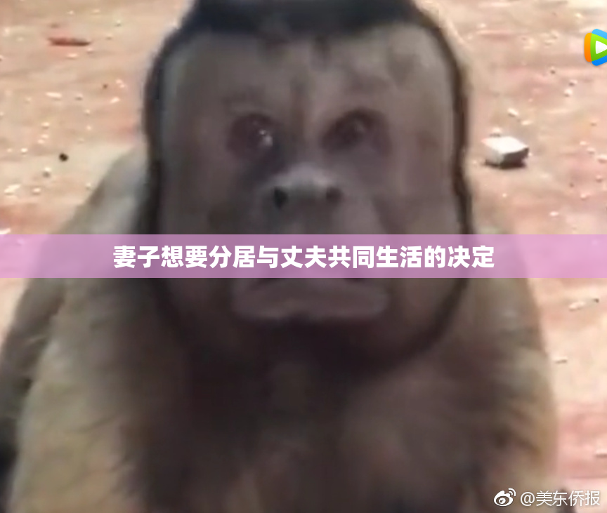 妻子想要分居与丈夫共同生活的决定