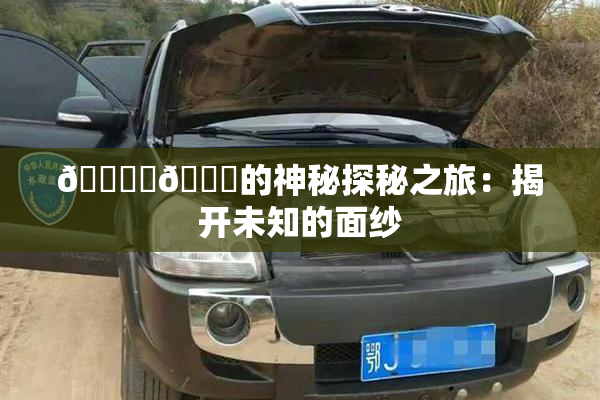 🔞‌🍌的神秘探秘之旅：揭开未知的面纱