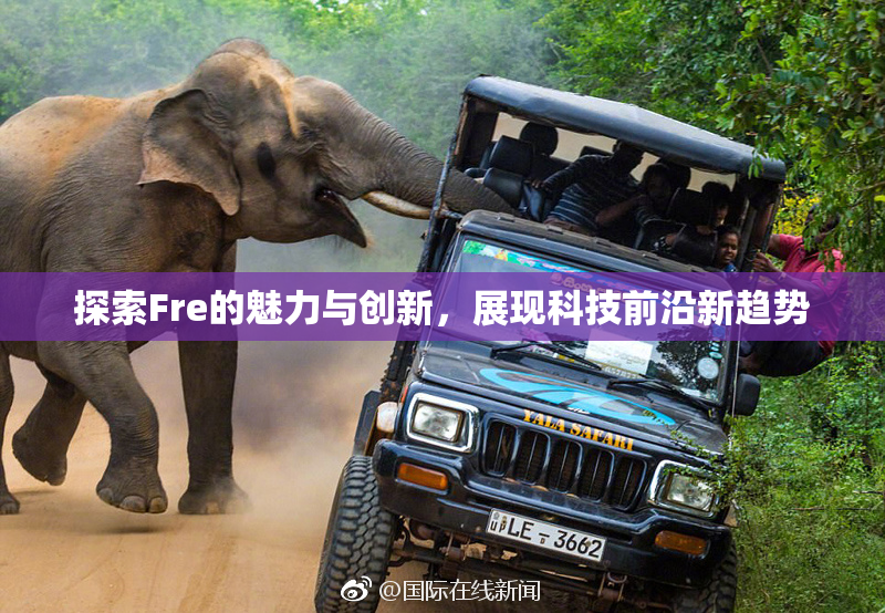 探索Fre的魅力与创新，展现科技前沿新趋势