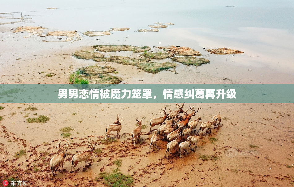 男男恋情被魔力笼罩，情感纠葛再升级