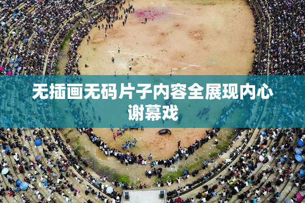 无插画无码片子内容全展现内心谢幕戏