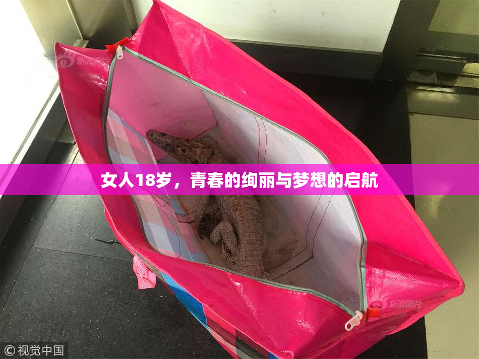 女人18岁，青春的绚丽与梦想的启航