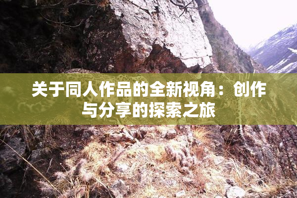 关于同人作品的全新视角：创作与分享的探索之旅