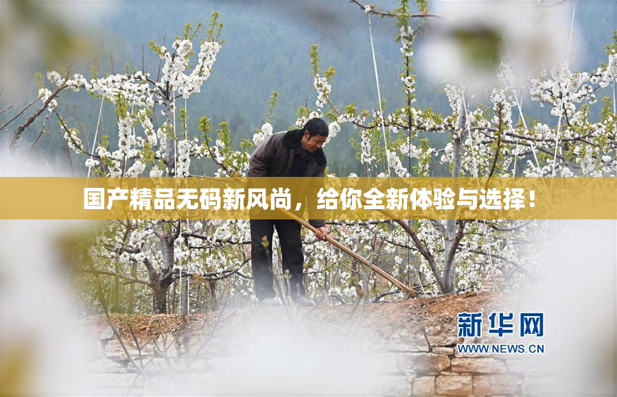国产精品无码新风尚，给你全新体验与选择！