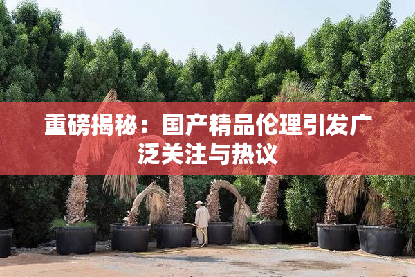 重磅揭秘：国产精品伦理引发广泛关注与热议