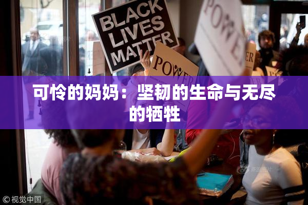 可怜的妈妈：坚韧的生命与无尽的牺牲