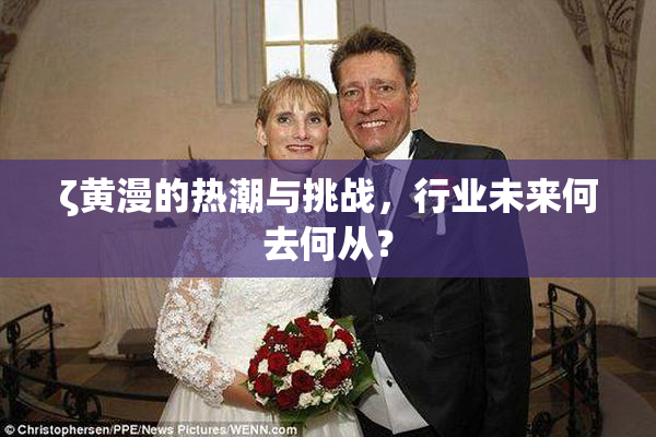 ζ黄漫的热潮与挑战，行业未来何去何从？