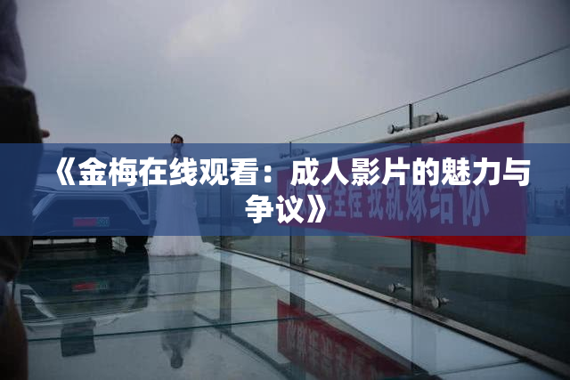 《金梅在线观看：成人影片的魅力与争议》