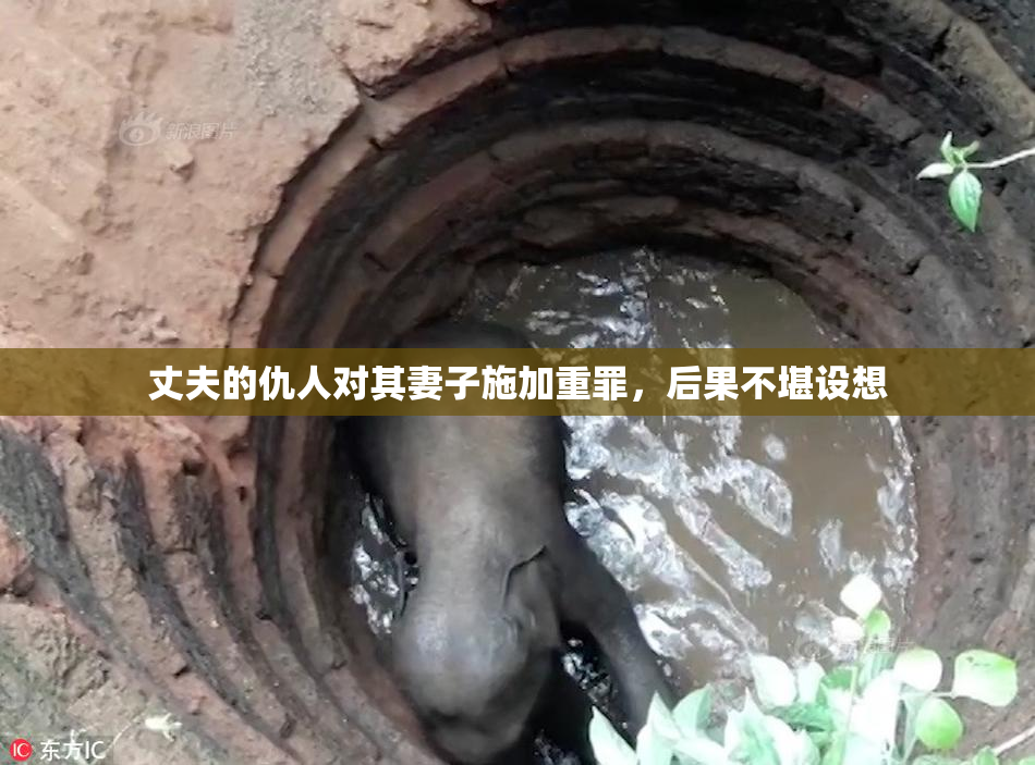 丈夫的仇人对其妻子施加重罪，后果不堪设想
