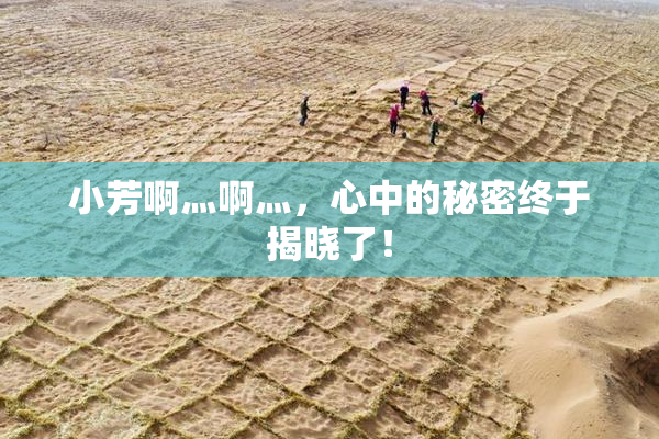 小芳啊灬啊灬，心中的秘密终于揭晓了！