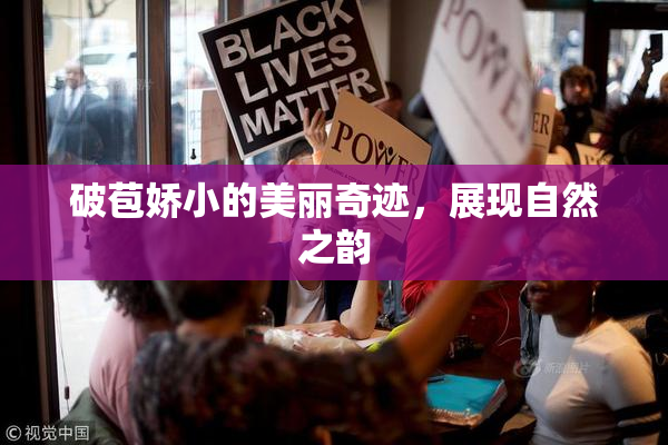 破苞娇小的美丽奇迹，展现自然之韵