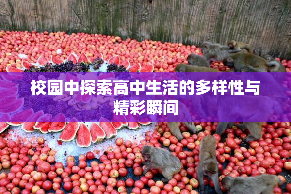 校园中探索高中生活的多样性与精彩瞬间