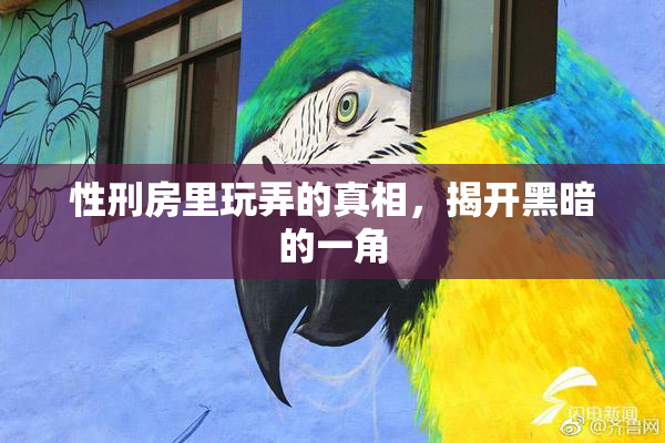 性刑房里玩弄的真相，揭开黑暗的一角