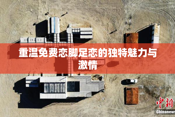 重温免费恋脚足恋的独特魅力与激情