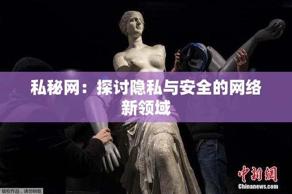 私秘网：探讨隐私与安全的网络新领域