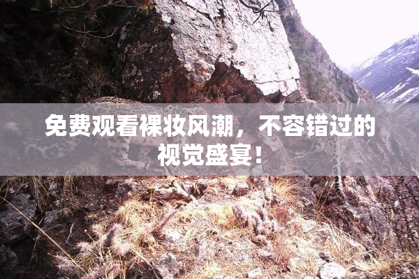 免费观看裸妆风潮，不容错过的视觉盛宴！