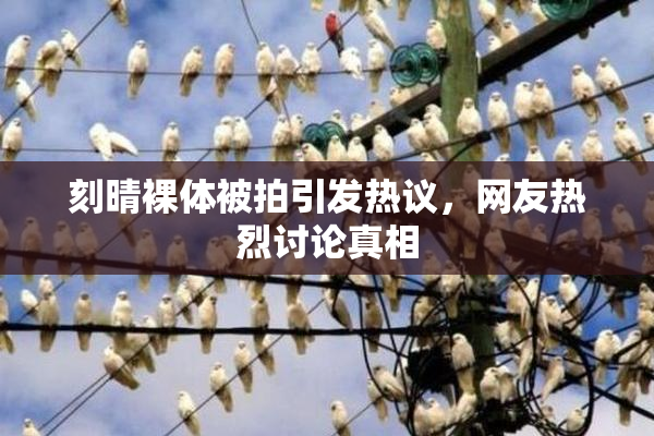 刻晴裸体被拍引发热议，网友热烈讨论真相