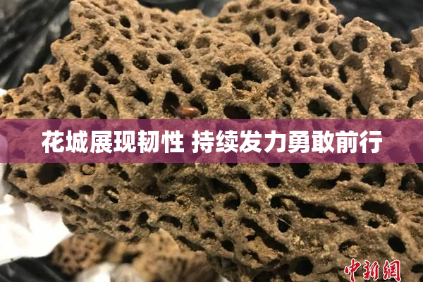 花城展现韧性 持续发力勇敢前行