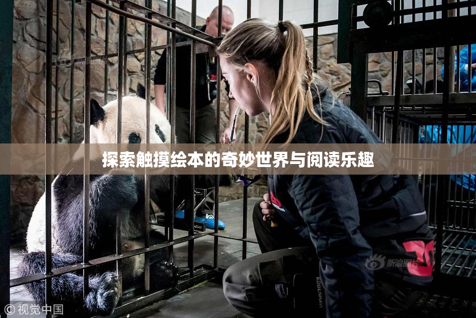 探索触摸绘本的奇妙世界与阅读乐趣