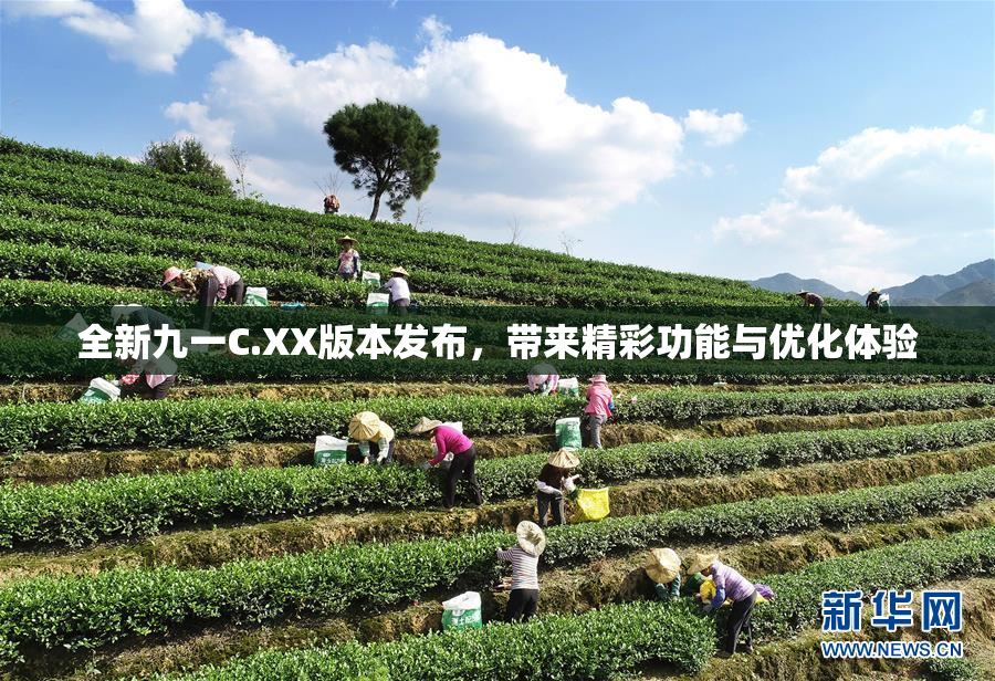 全新九一C.XX版本发布，带来精彩功能与优化体验
