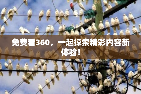 免费看360，一起探索精彩内容新体验！