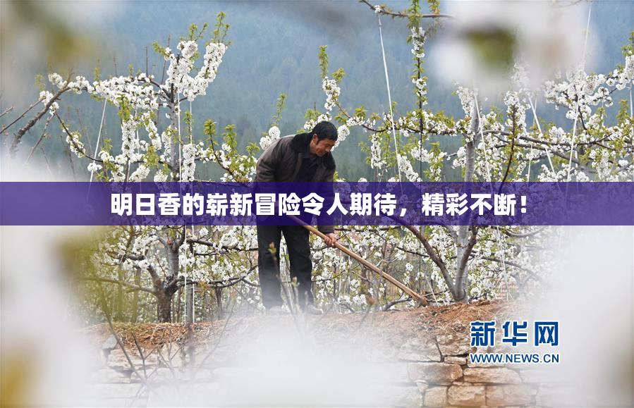 明日香的崭新冒险令人期待，精彩不断！