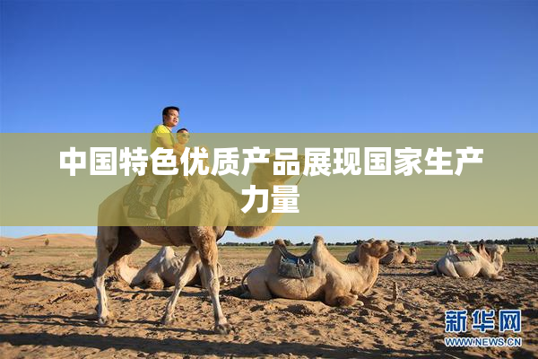 中国特色优质产品展现国家生产力量