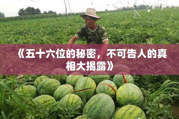 《五十六位的秘密，不可告人的真相大揭露》