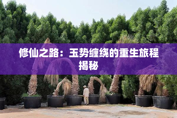 修仙之路：玉势缠绕的重生旅程揭秘