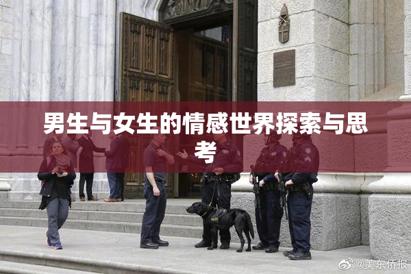 男生与女生的情感世界探索与思考