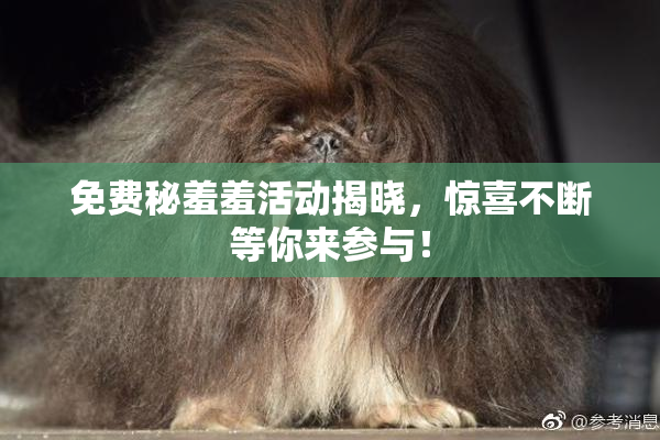 免费秘羞羞活动揭晓，惊喜不断等你来参与！