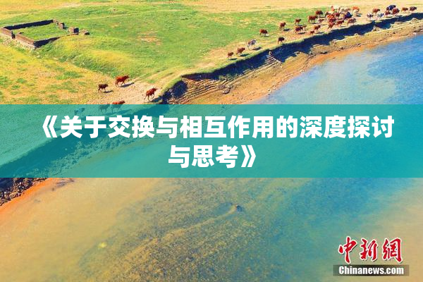 《关于交换与相互作用的深度探讨与思考》