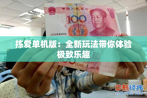 拣爱单机版：全新玩法带你体验极致乐趣