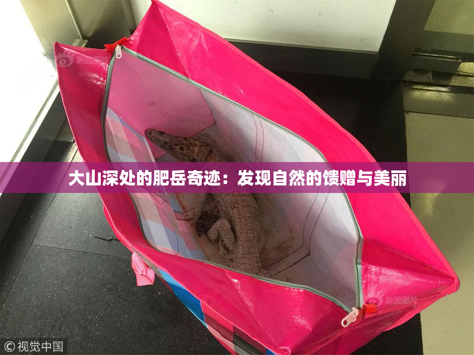 大山深处的肥岳奇迹：发现自然的馈赠与美丽