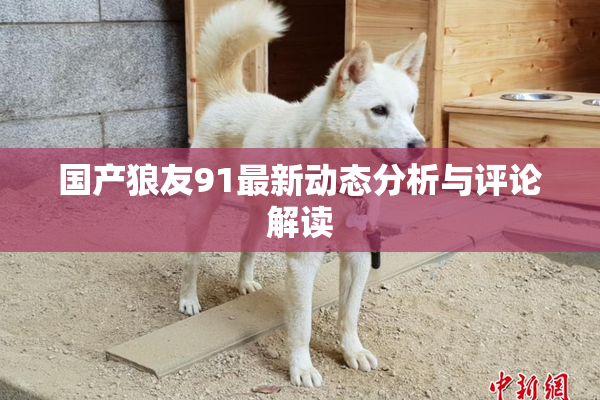 国产狼友91最新动态分析与评论解读