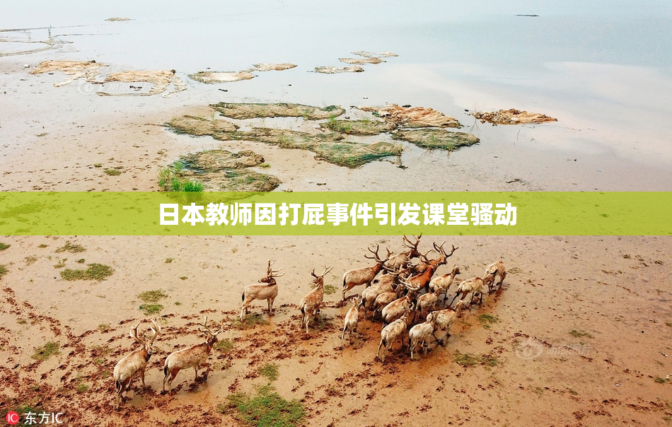日本教师因打屁事件引发课堂骚动