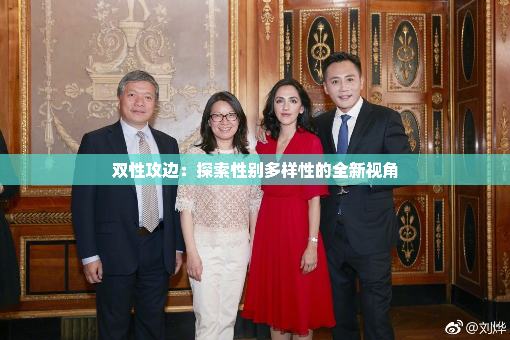双性攻边：探索性别多样性的全新视角