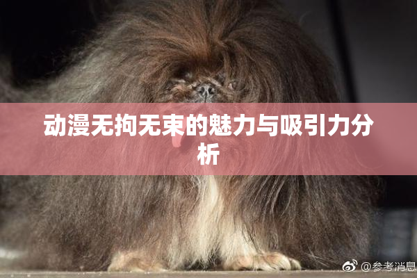动漫无拘无束的魅力与吸引力分析