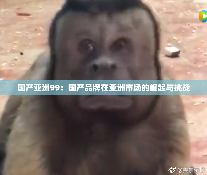 国产亚洲99：国产品牌在亚洲市场的崛起与挑战