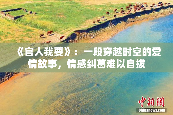 《官人我要》：一段穿越时空的爱情故事，情感纠葛难以自拔