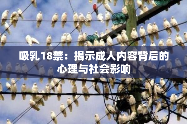 吸乳18禁：揭示成人内容背后的心理与社会影响