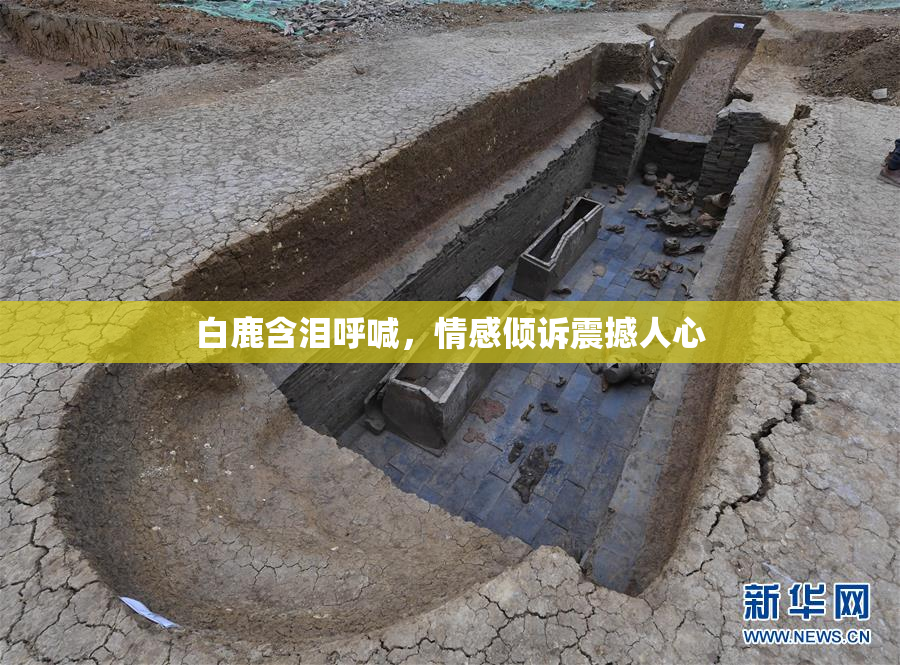 白鹿含泪呼喊，情感倾诉震撼人心
