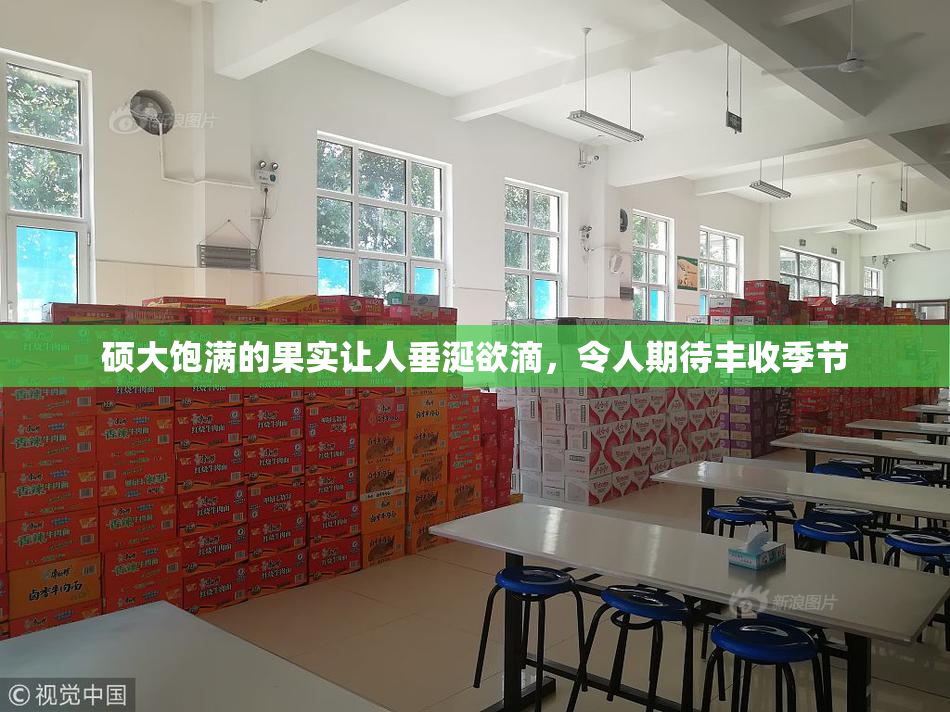 硕大饱满的果实让人垂涎欲滴，令人期待丰收季节
