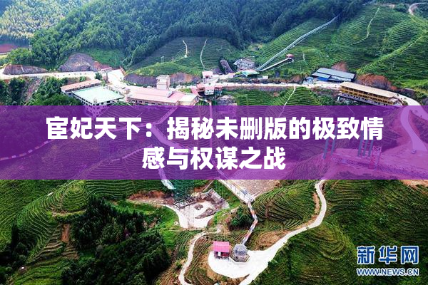 宦妃天下：揭秘未删版的极致情感与权谋之战