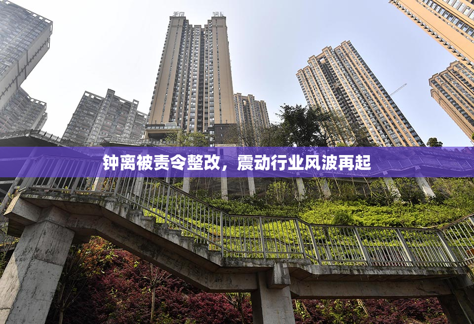 钟离被责令整改，震动行业风波再起